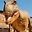 Bee Addo user image