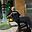 Mohammadreza 111 user image