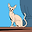 카바지 user image