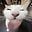 William McDowell user image
