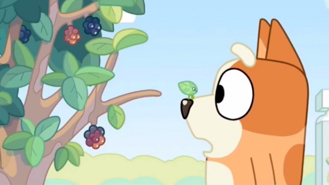 Bluey Spanish