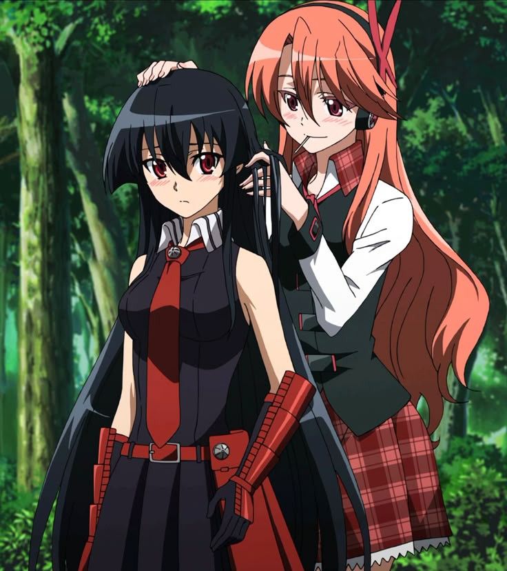 Akame ga kill