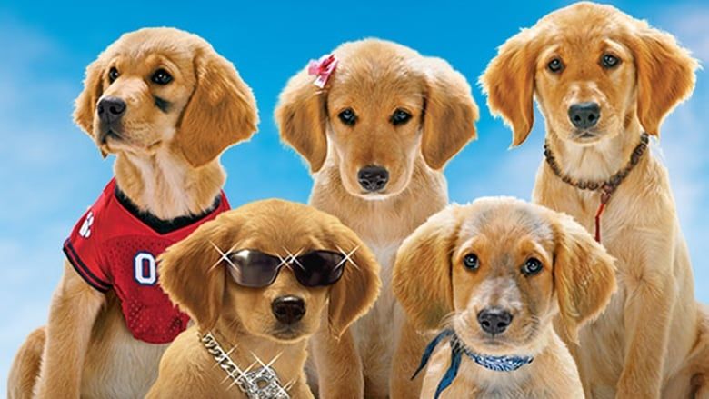 Air buddies