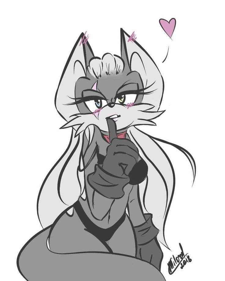 Sennun2