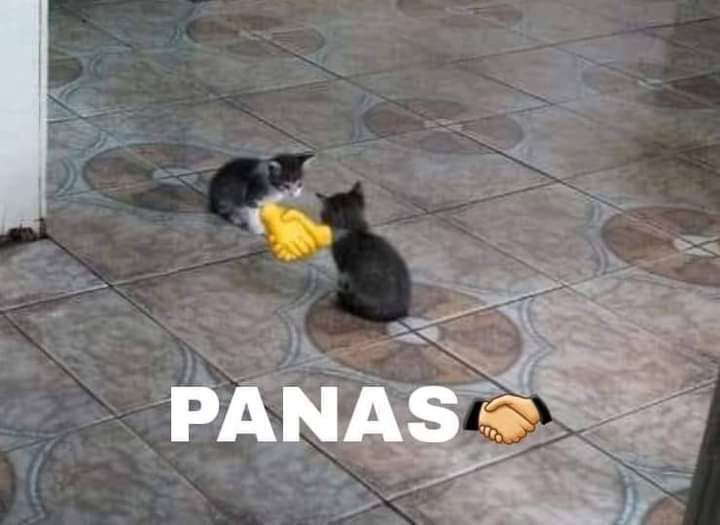 Voces IA's de Panas