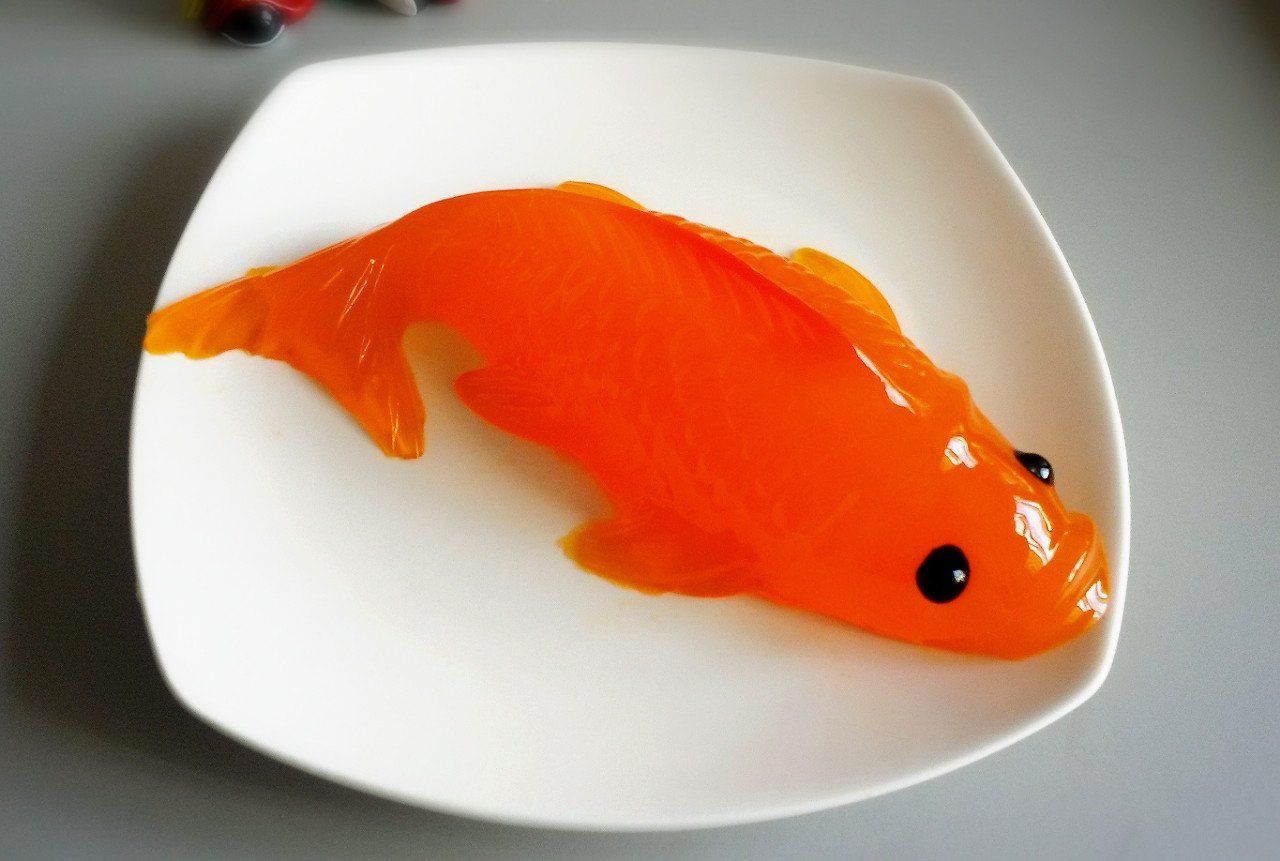 gummykoi