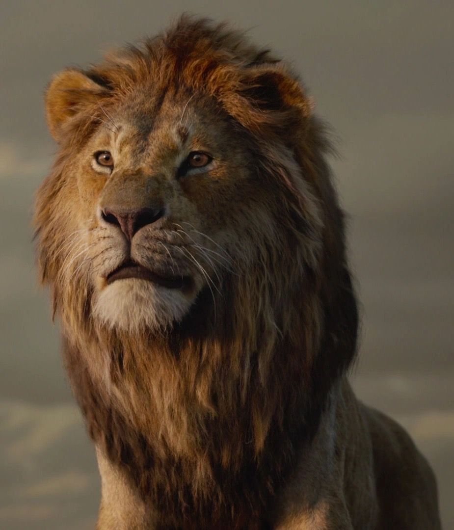 The lion King 2 2021