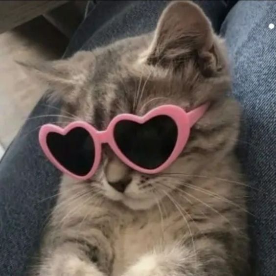 zndkdldl