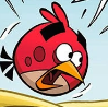 Feedky