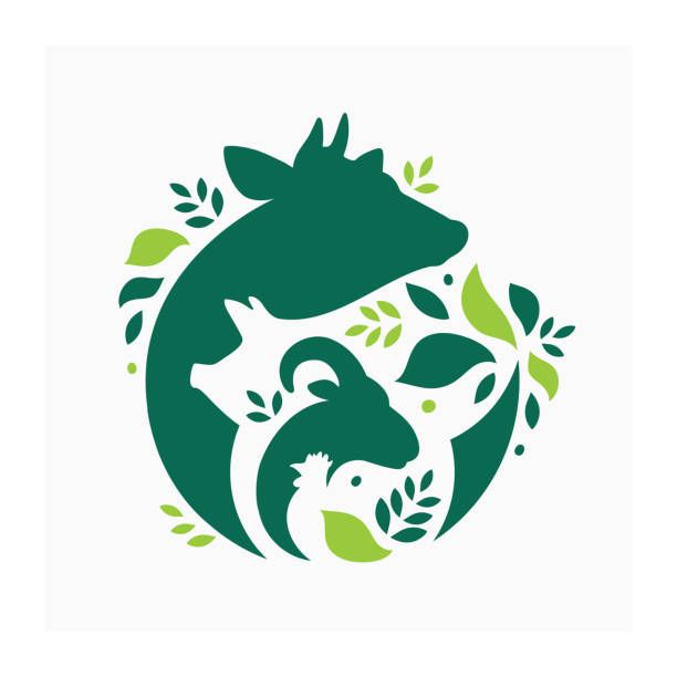 Animals Collection 