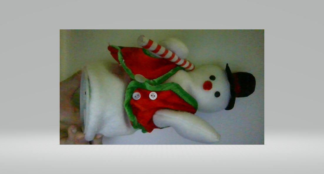 whitewinterproductions