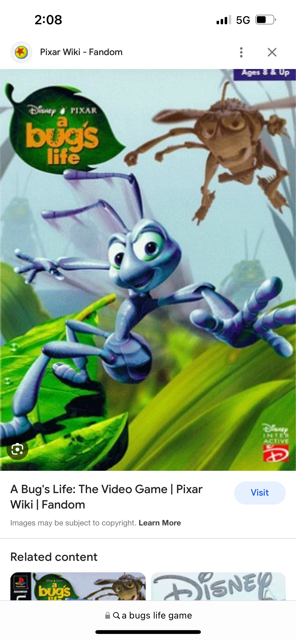 Bugs and Spiders