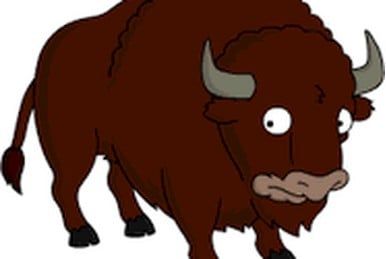 Mr-Bison