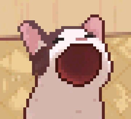 PopCat