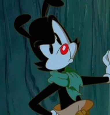 🍒 Animaniacs Fan 🍒