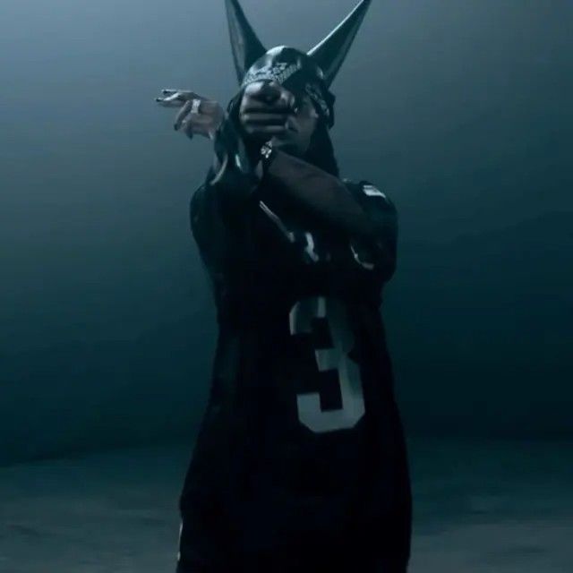 NORMAL VOICE CARTI