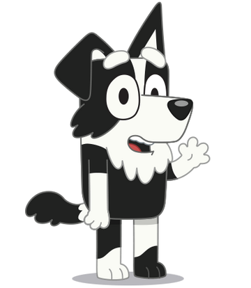 MacKenzie Border Collie (Bluey)