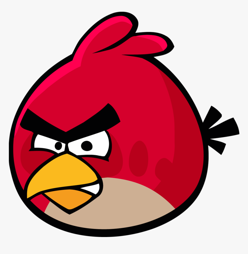 literally a angry bird