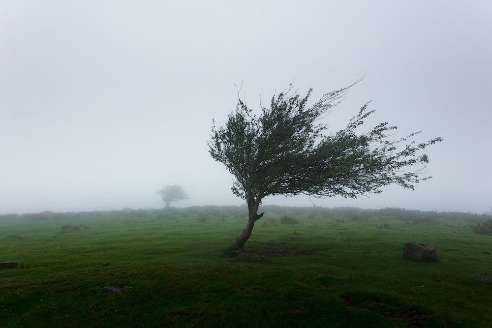 Literally Wind