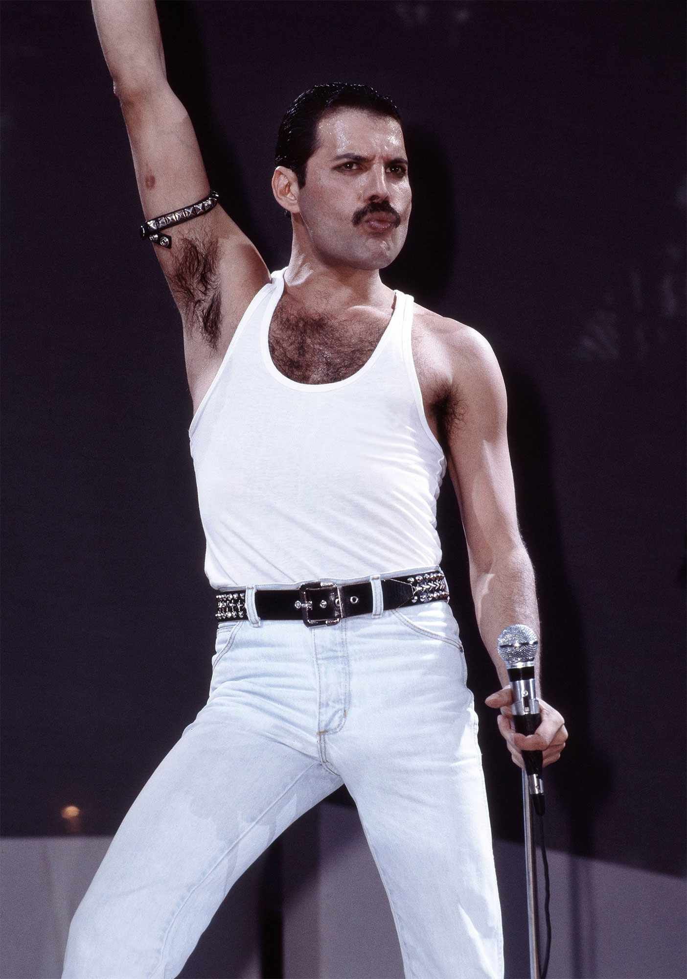 Freddie Mercury (Queen)