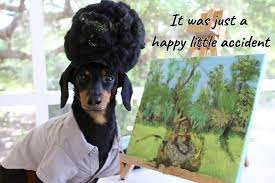 Dog Ross (Crusoe the Dachshund)