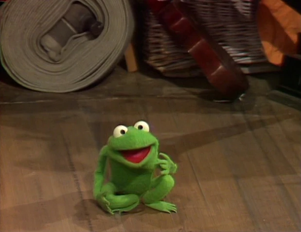Robin The Frog