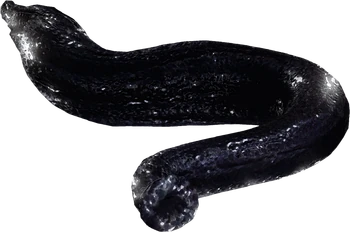Leech (Little Nightmares)