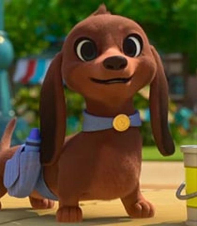 Paxton (Pretzel & The Puppies 2022)