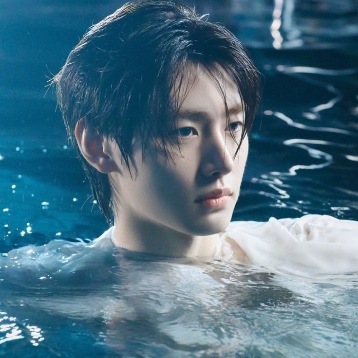 Sunghoon (ENHYPEN)