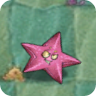 Sea Starfruit