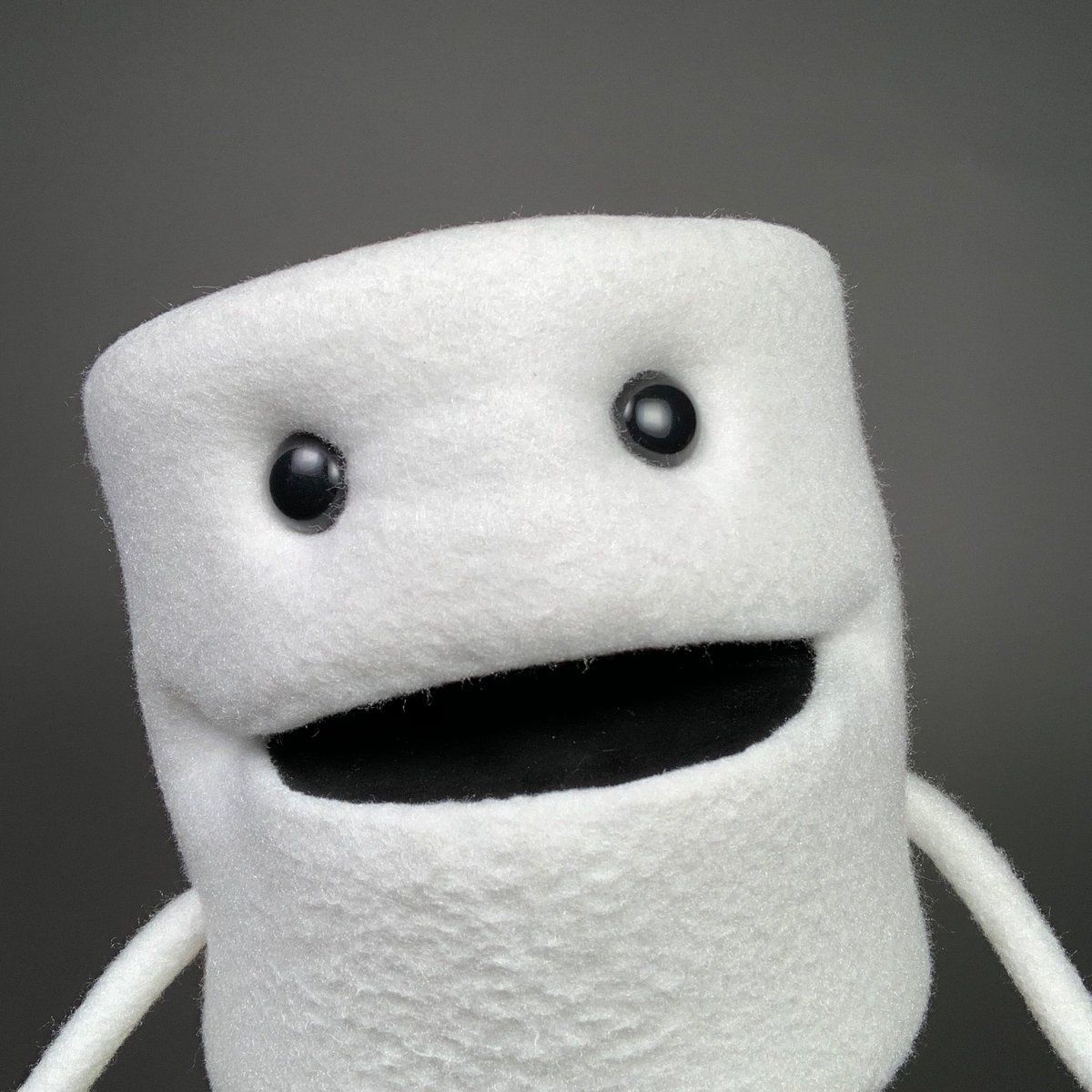 toiley t paper