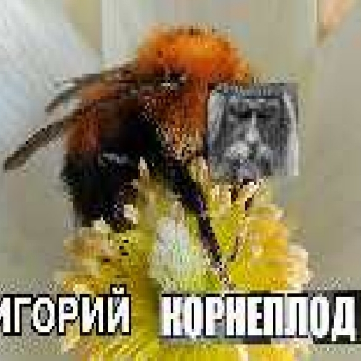 BumbleMem
