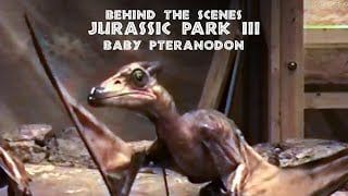 Baby Pteranodon (Vocalizations) (Jurassic Park III)