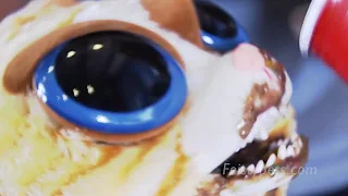 Feisty Films Episode 25: Gross Feisty Food Challenge! - YouTube