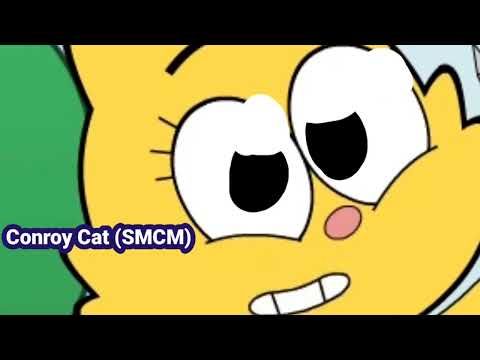 Abby (Conroy Cat SMCM)