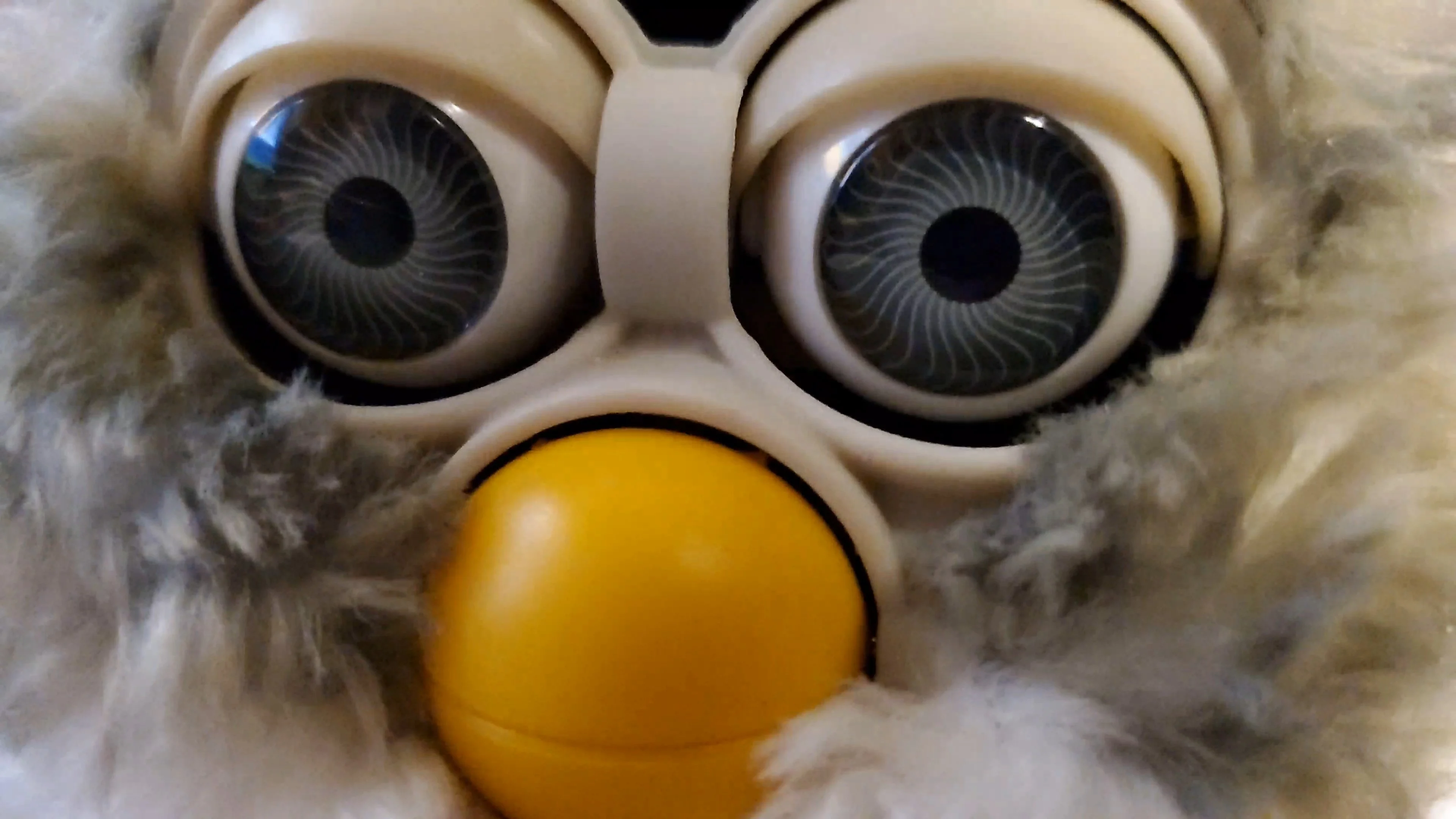 Furby