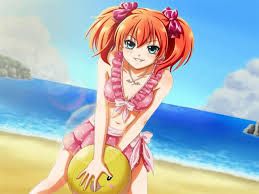 Shuzen Kokoa