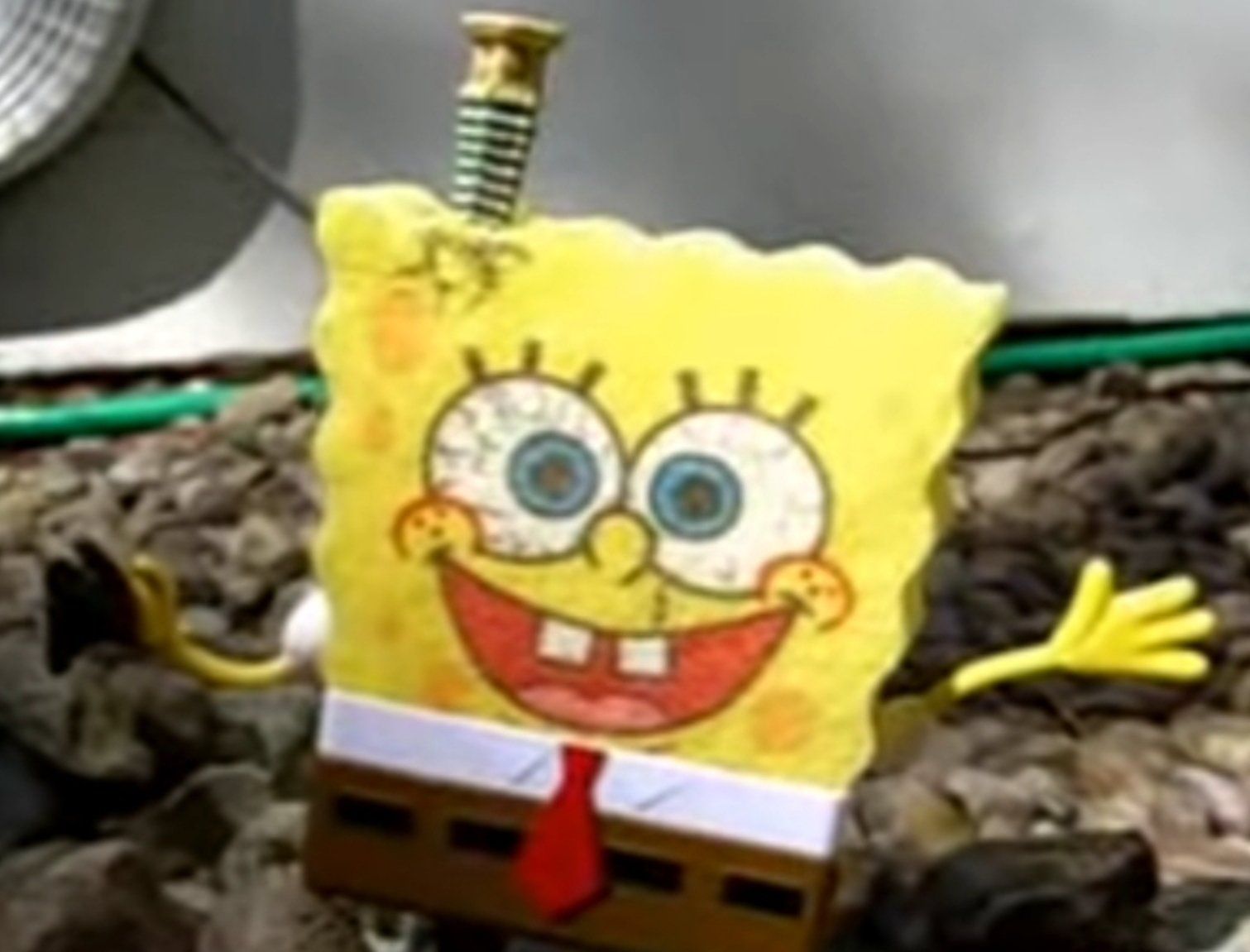 Spongebob (The death of sponge bob) [YouTube]