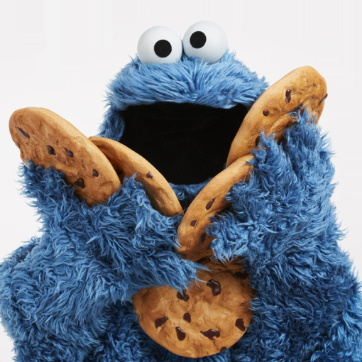 RETRAINED Cookie Monster (SesameStreet)