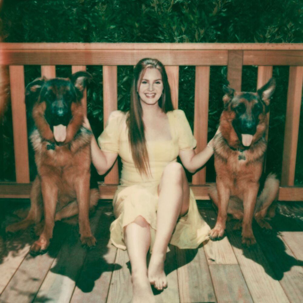 Lana Del Rey (Blue Banisters Era)