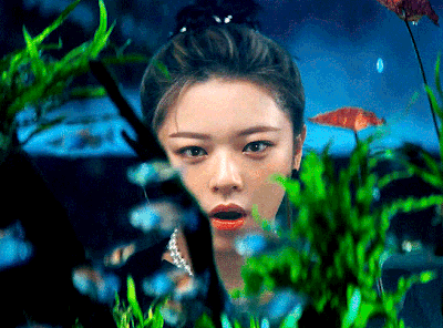 Jeongyeon (All round)