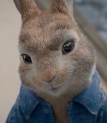 Peter Rabbit (James Corden)