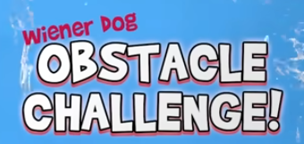 Obstacle Course Announcer (Crusoe the Dachshund Spanish dub)