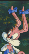 Babs Bunny
