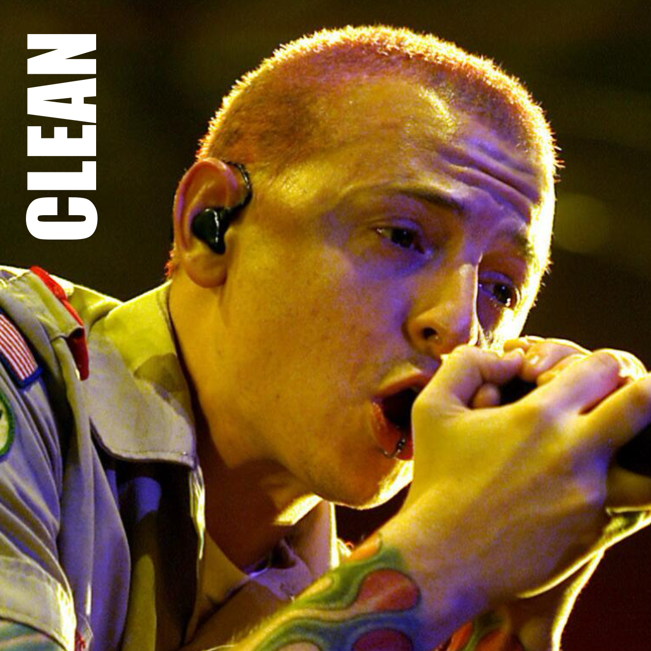 Chester Bennington (Clean Voice, Hybrid Theory Era)