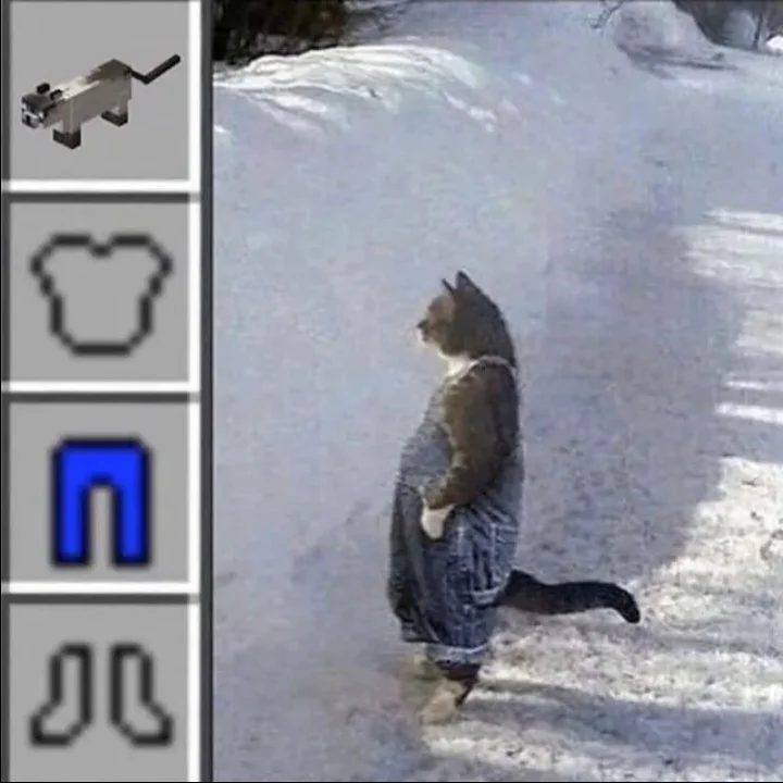 Sjkdkw