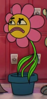 Leslie (TAWOG)(latin americ)