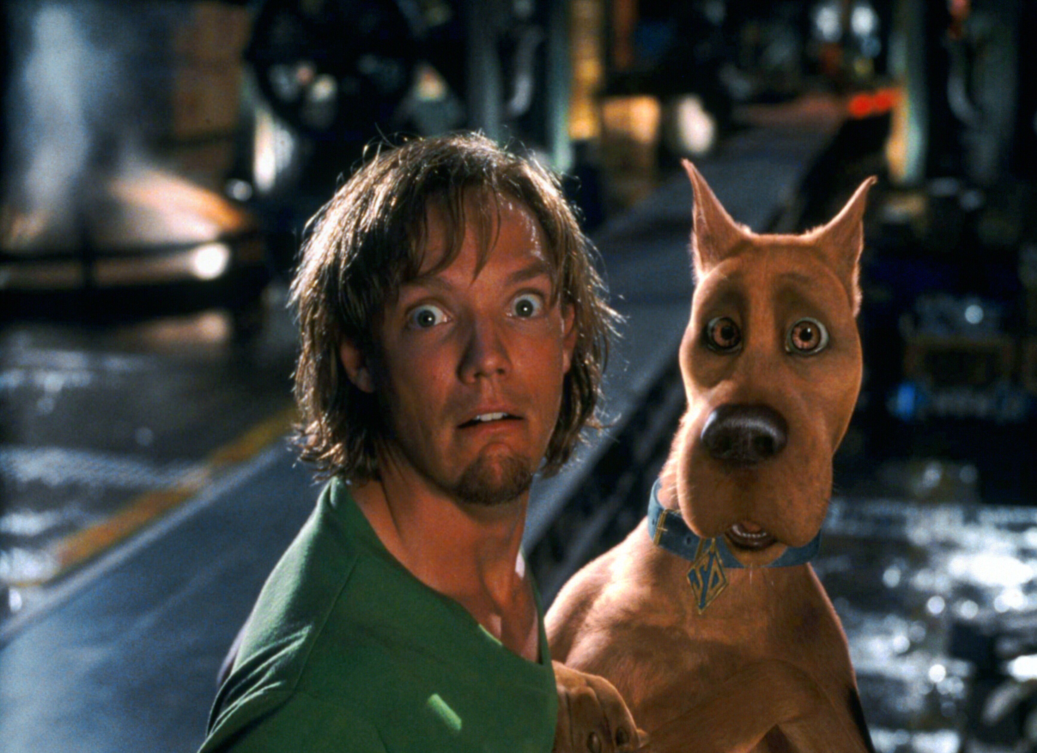 Shaggy Rodgers (Matthew Lillard) (Scooby-Doo/Scooby-Doo 2)