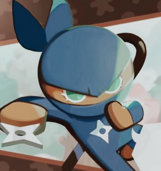 ninja cookie