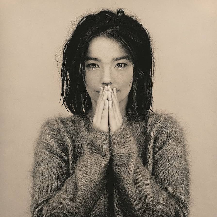 Bjork (Debut Era)